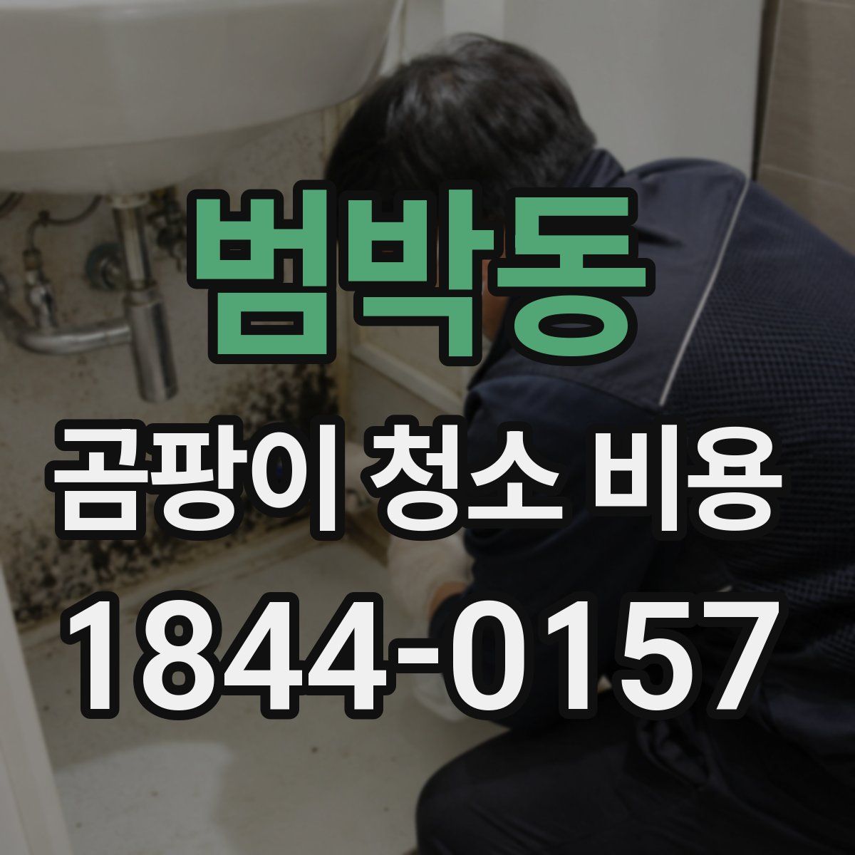 범박동 곰팡이 청소 비용