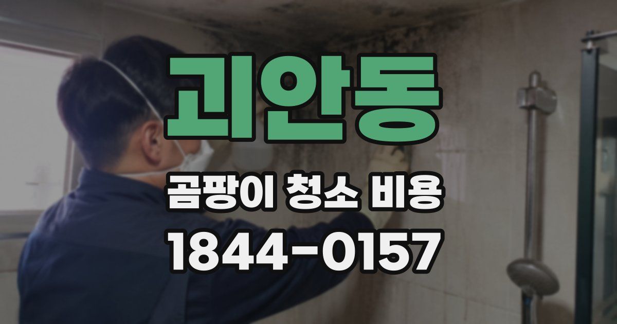 괴안동 곰팡이 청소 비용