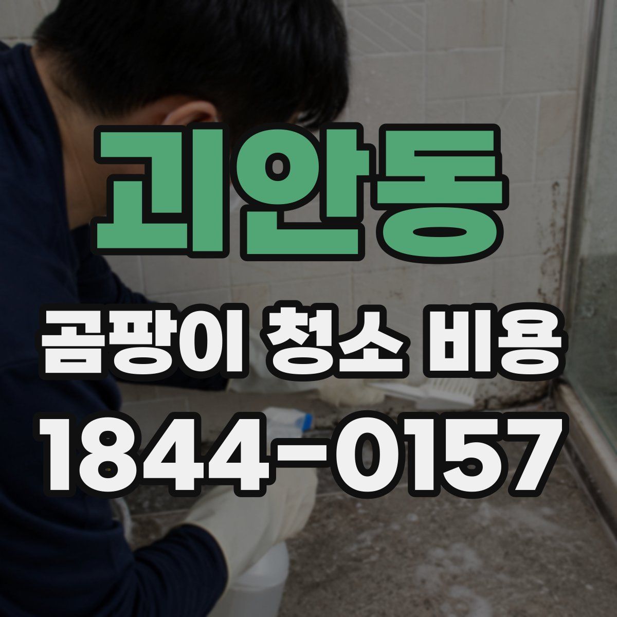 괴안동 곰팡이 청소 비용