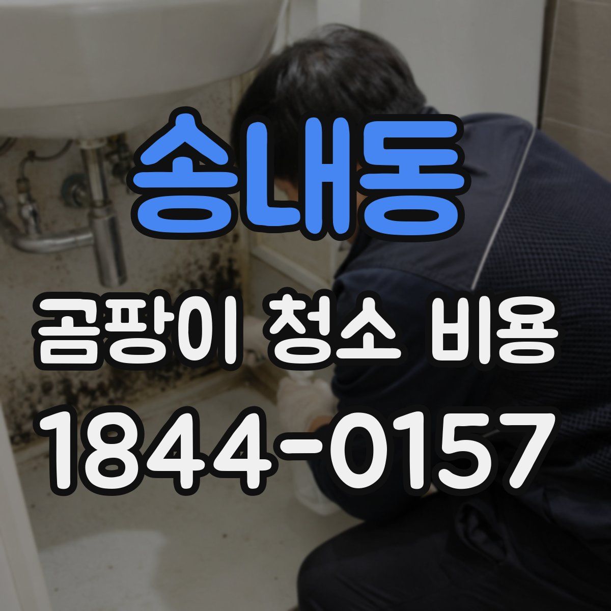 송내동 곰팡이 청소 비용