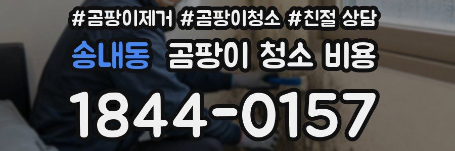 송내동 곰팡이 청소 비용