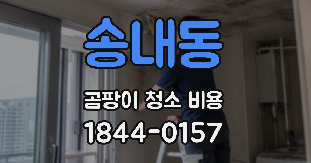 송내동 곰팡이 청소 비용