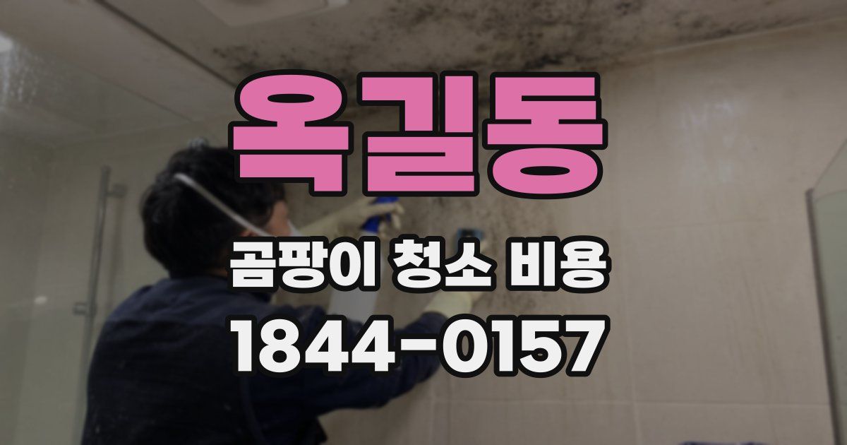옥길동 곰팡이 청소 비용