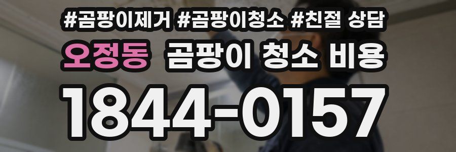 오정동 곰팡이 청소 비용