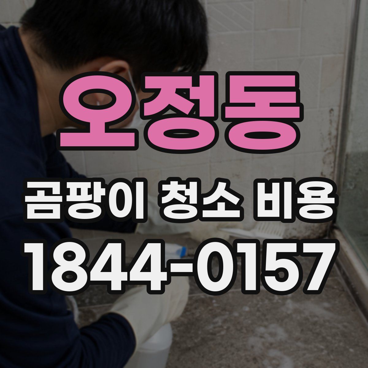 오정동 곰팡이 청소 비용