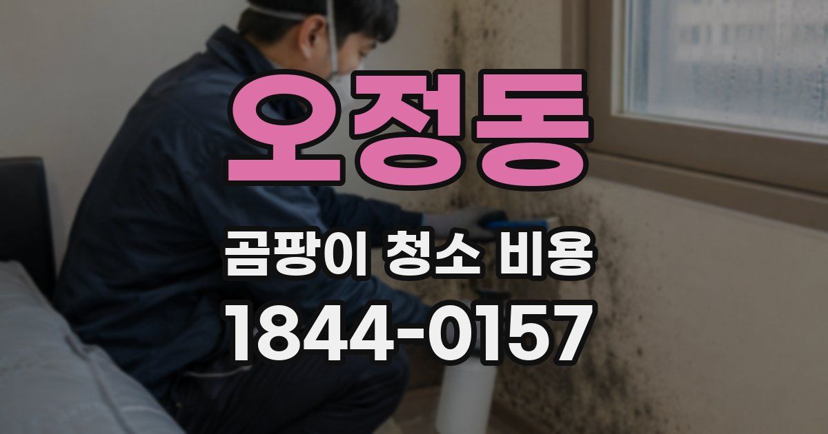 오정동 곰팡이 청소 비용