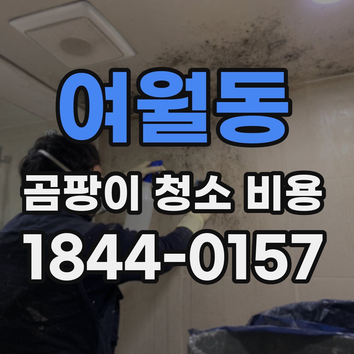 여월동 곰팡이 청소 비용