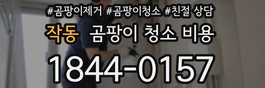 작동 곰팡이 청소 비용