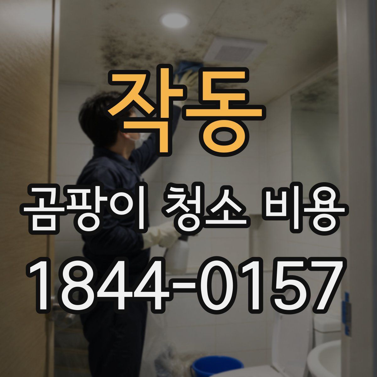 작동 곰팡이 청소 비용