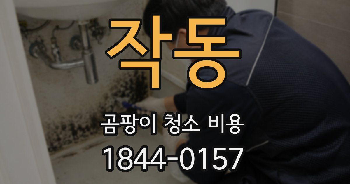 작동 곰팡이 청소 비용