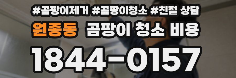 원종동 곰팡이 청소 비용