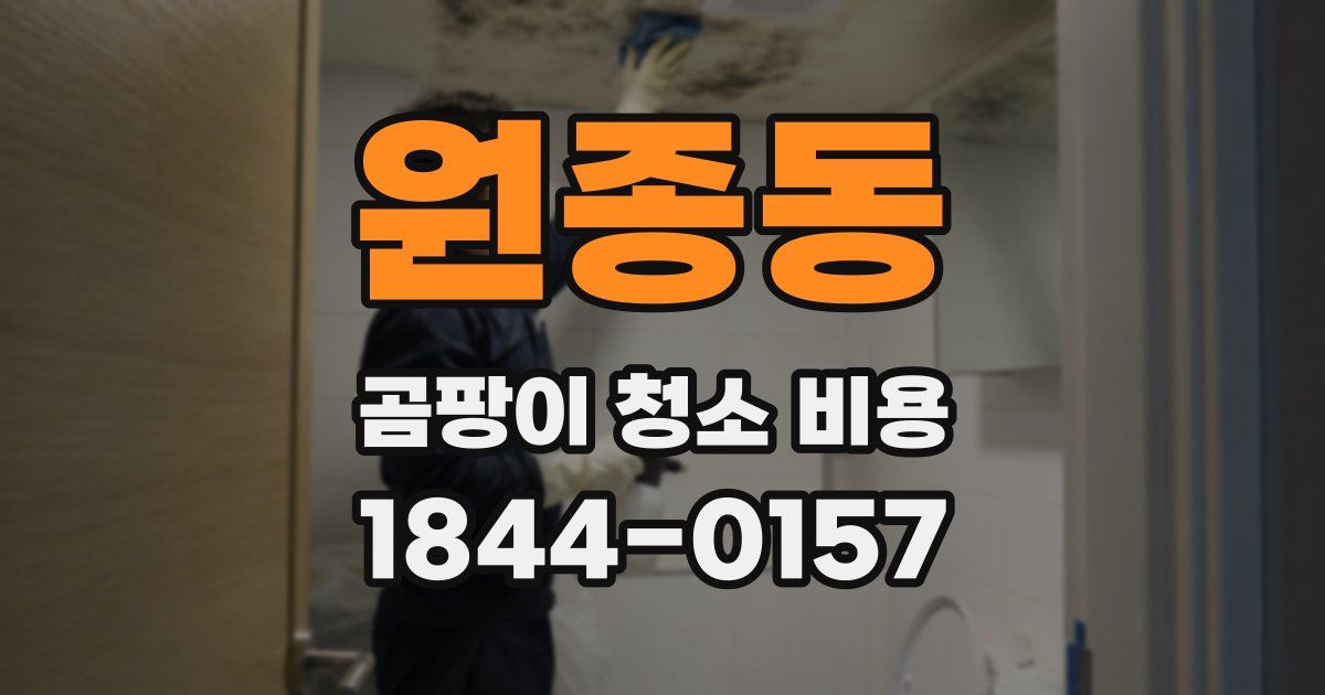 원종동 곰팡이 청소 비용