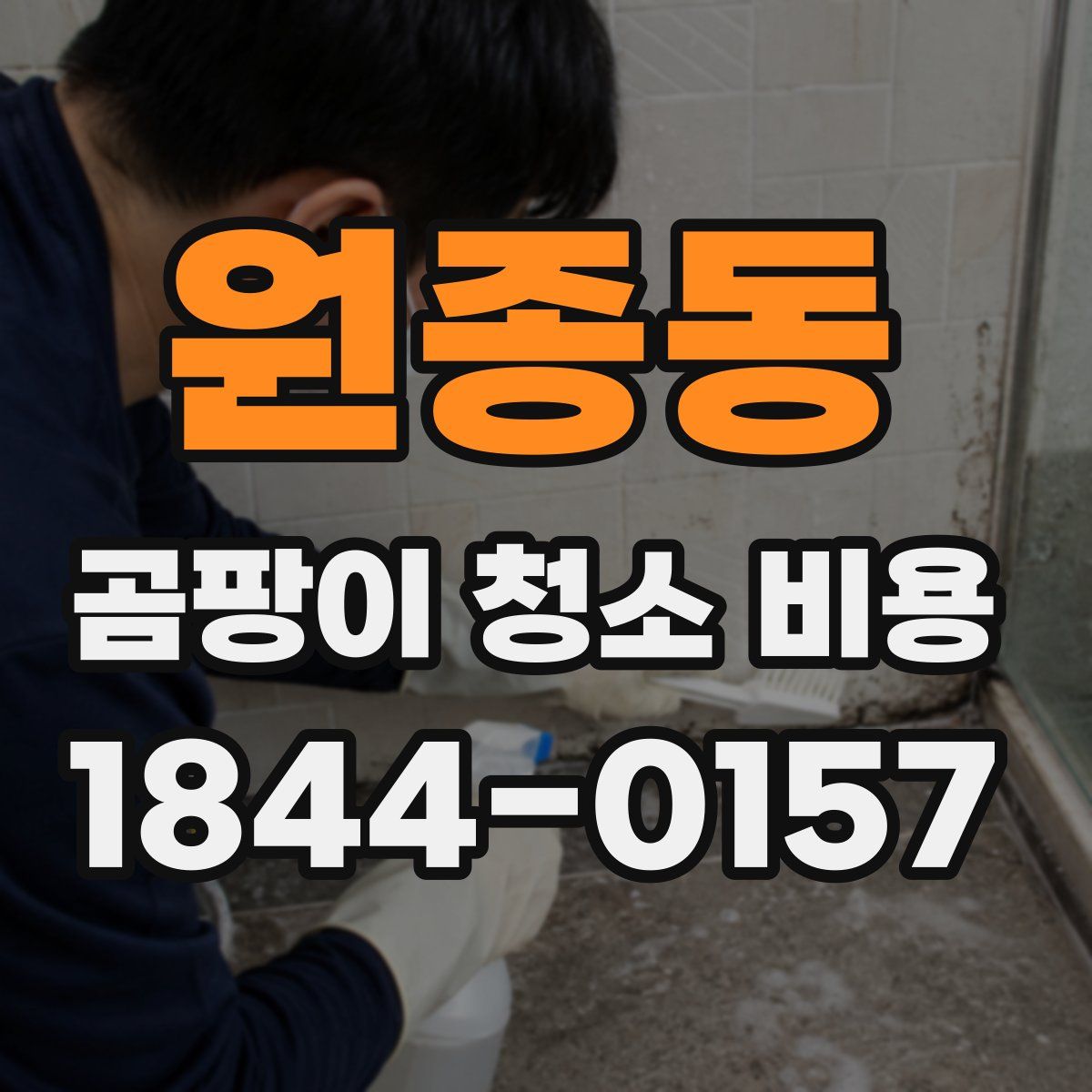 원종동 곰팡이 청소 비용