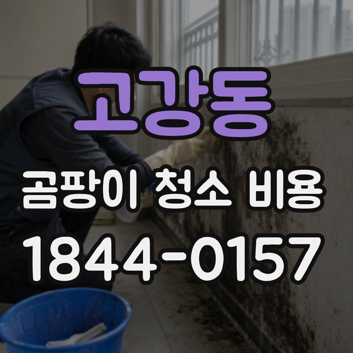 고강동 곰팡이 청소 비용