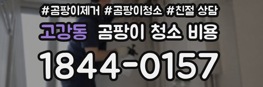 고강동 곰팡이 청소 비용
