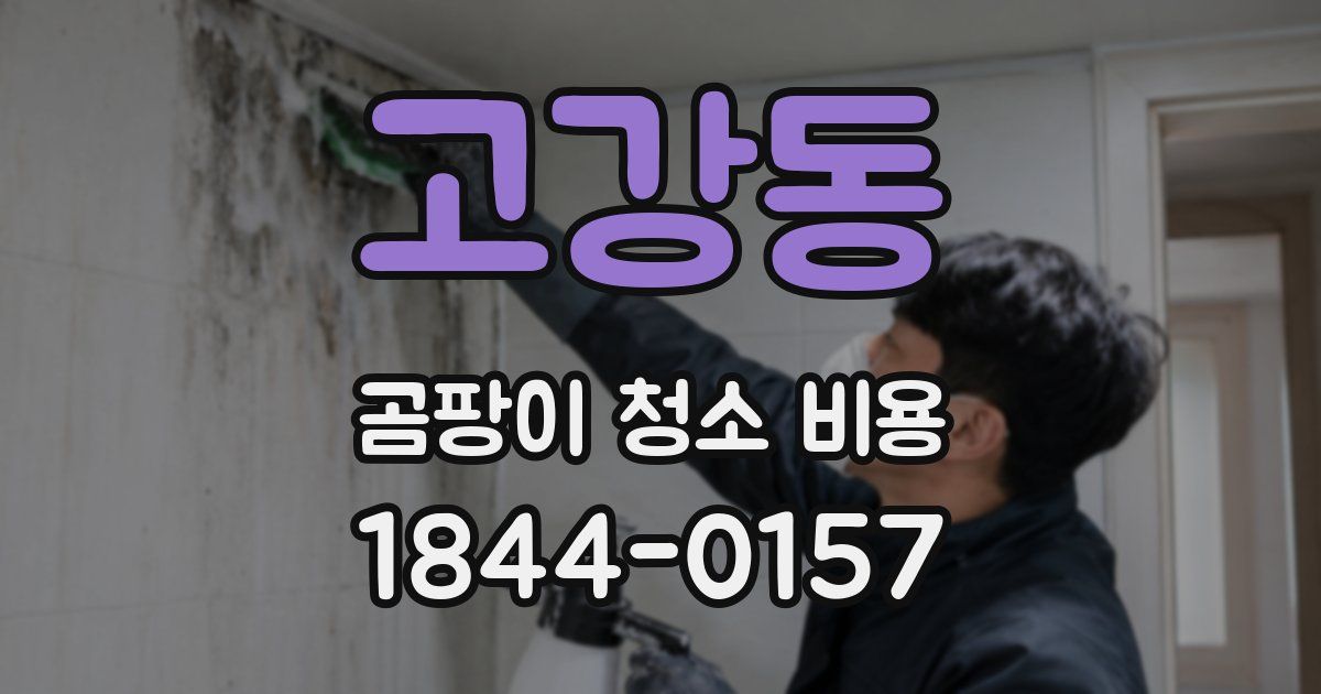 고강동 곰팡이 청소 비용