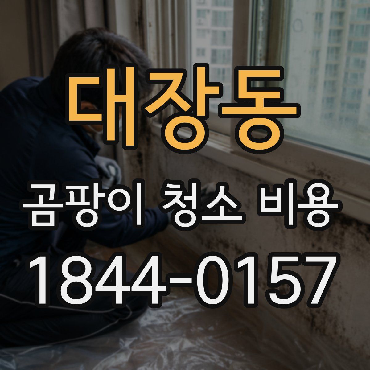 대장동 곰팡이 청소 비용