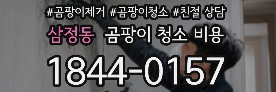 삼정동 곰팡이 청소 비용