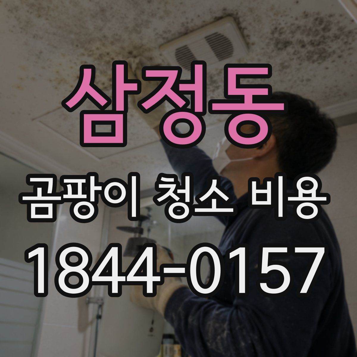 삼정동 곰팡이 청소 비용