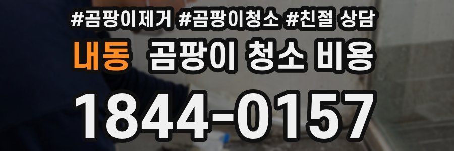 내동 곰팡이 청소 비용