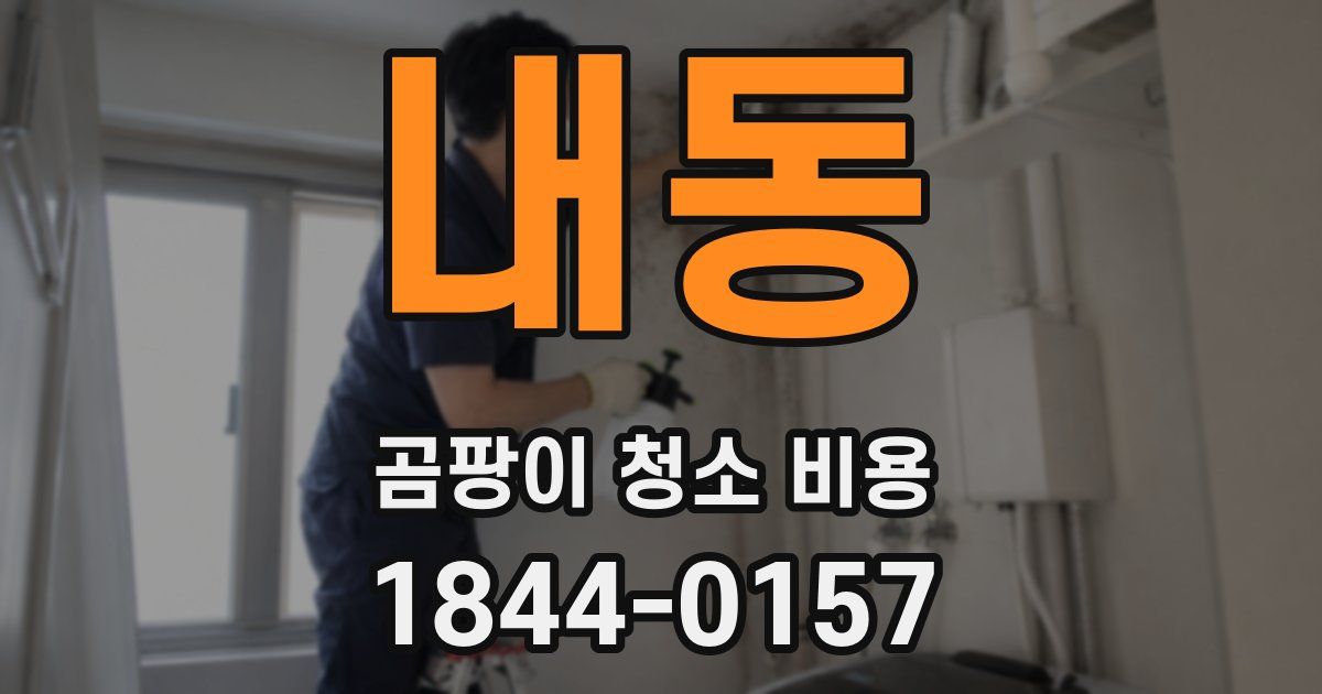내동 곰팡이 청소 비용