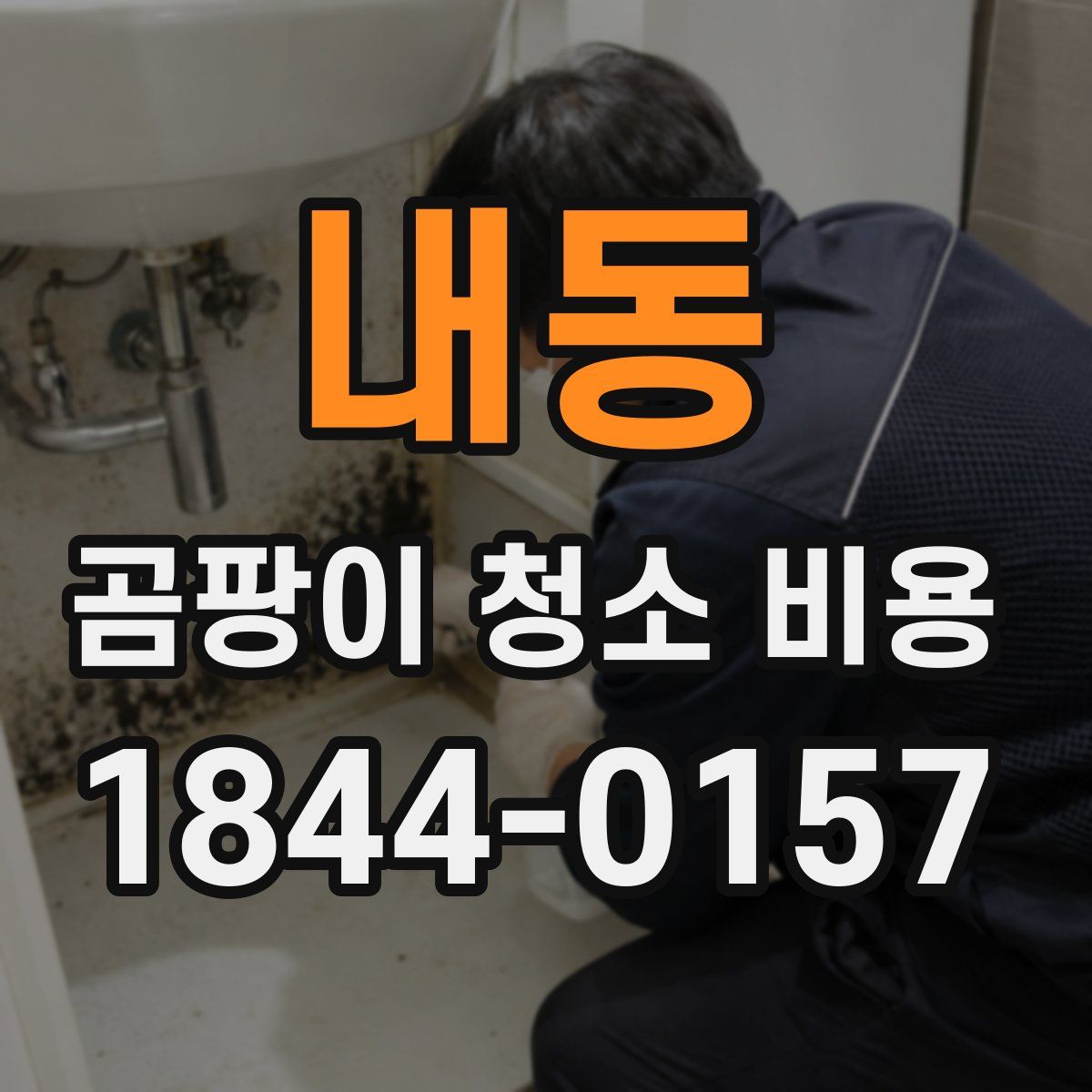 내동 곰팡이 청소 비용