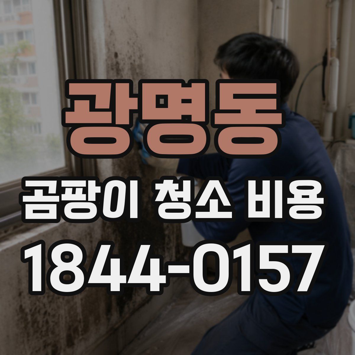 광명동 곰팡이 청소 비용