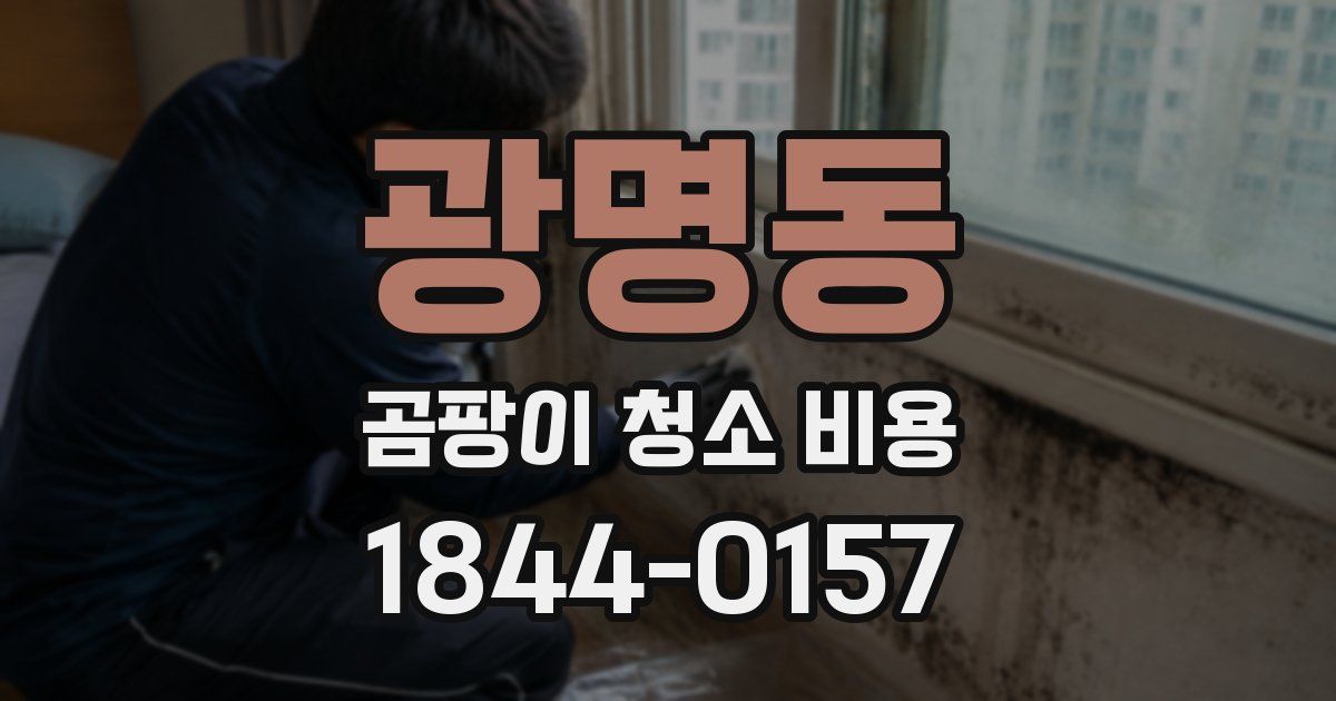 광명동 곰팡이 청소 비용