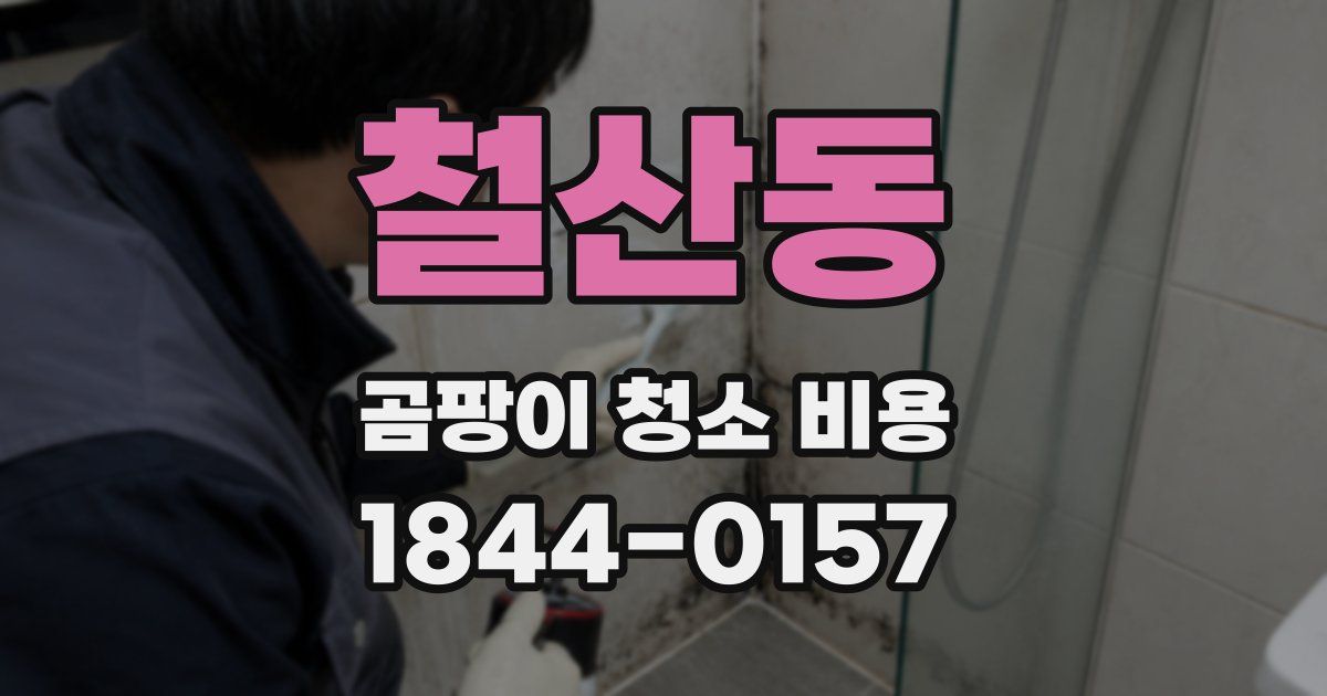 철산동 곰팡이 청소 비용