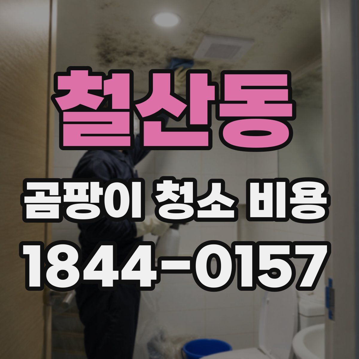 철산동 곰팡이 청소 비용
