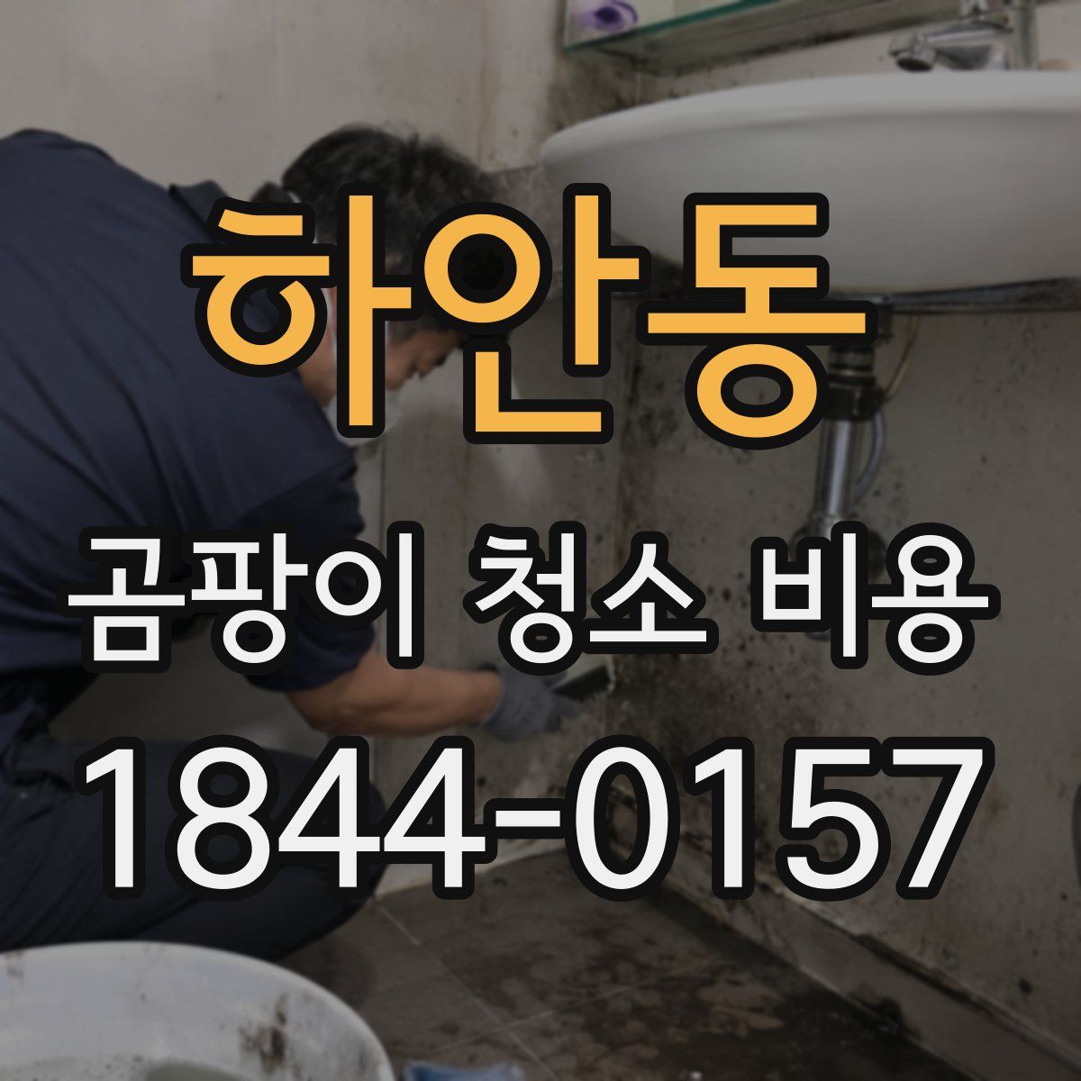 하안동 곰팡이 청소 비용