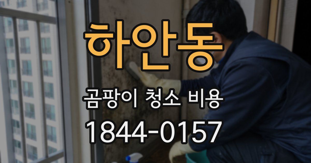 하안동 곰팡이 청소 비용