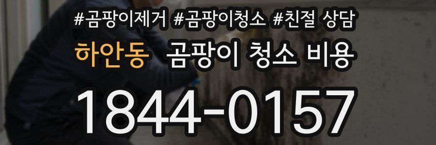 하안동 곰팡이 청소 비용