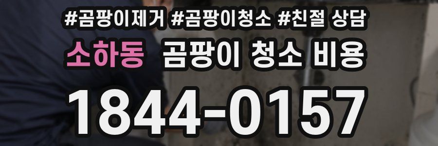 소하동 곰팡이 청소 비용