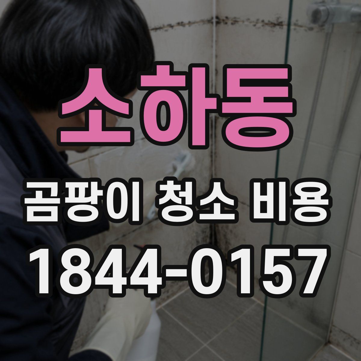 소하동 곰팡이 청소 비용