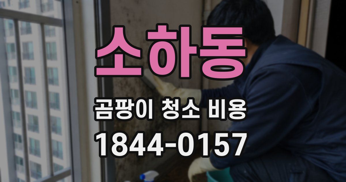 소하동 곰팡이 청소 비용