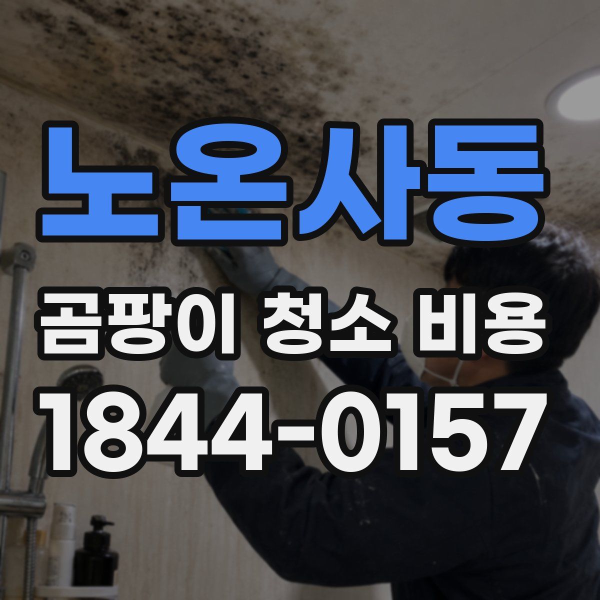 노온사동 곰팡이 청소 비용
