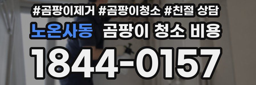 노온사동 곰팡이 청소 비용