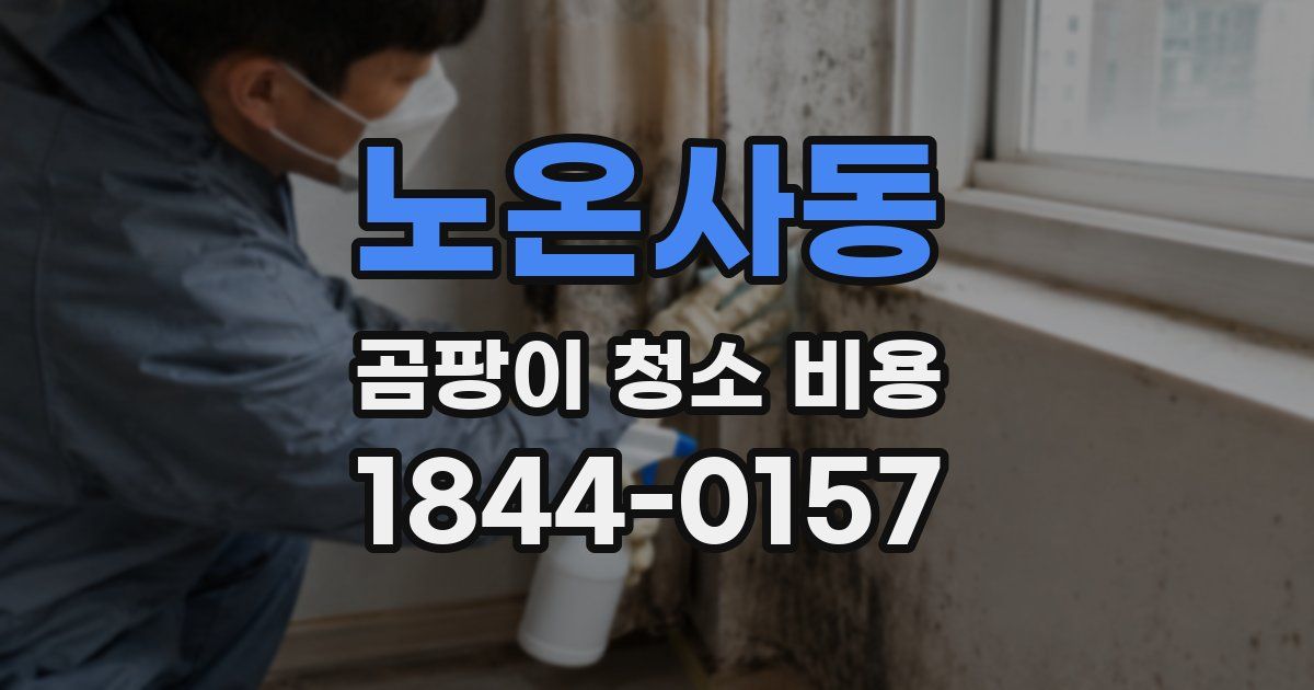 노온사동 곰팡이 청소 비용