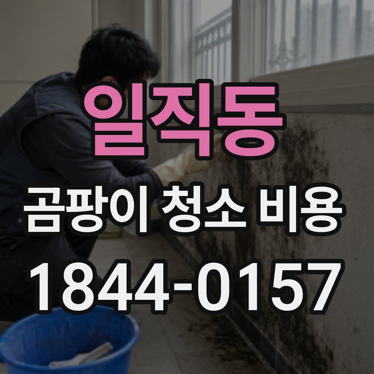 일직동 곰팡이 청소 비용