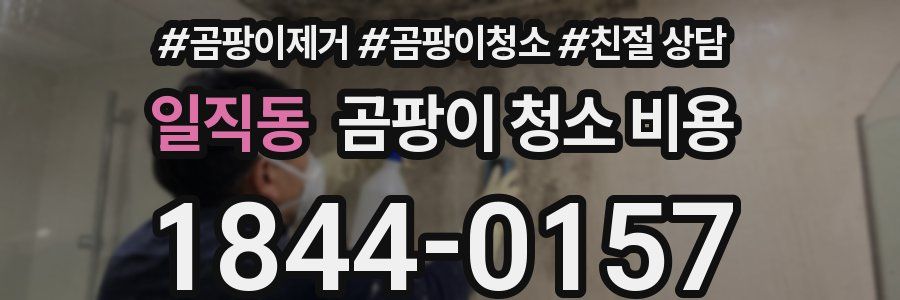 일직동 곰팡이 청소 비용