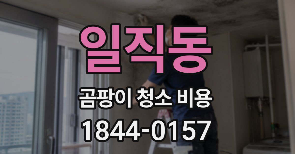 일직동 곰팡이 청소 비용