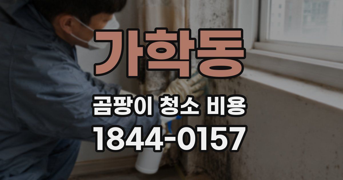 가학동 곰팡이 청소 비용