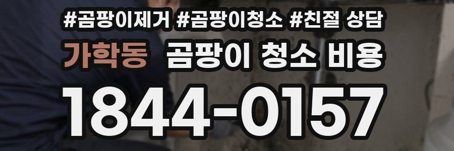 가학동 곰팡이 청소 비용