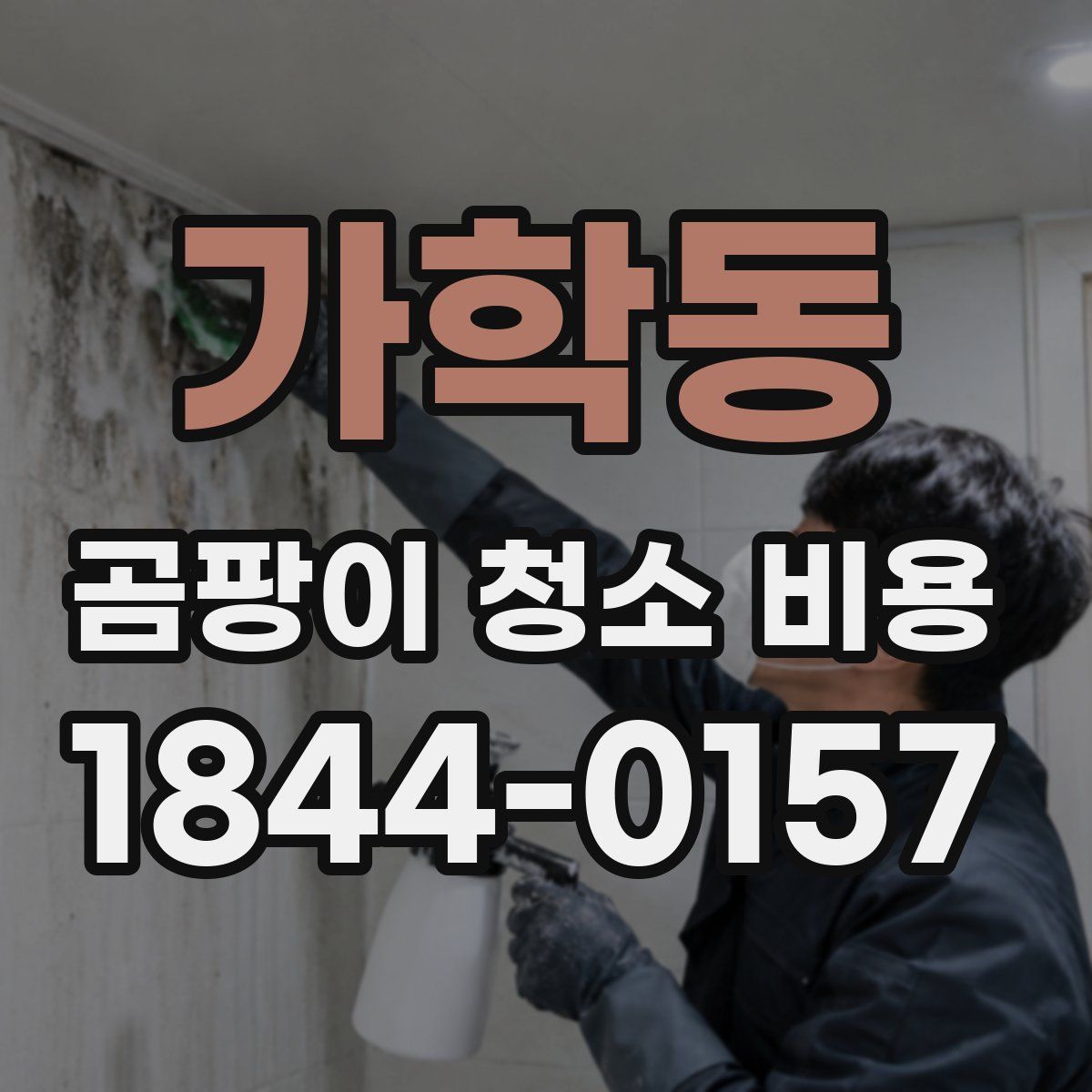 가학동 곰팡이 청소 비용