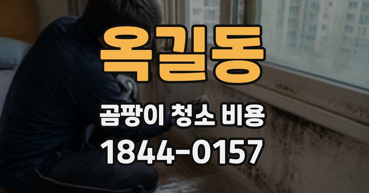 옥길동 곰팡이 청소 비용