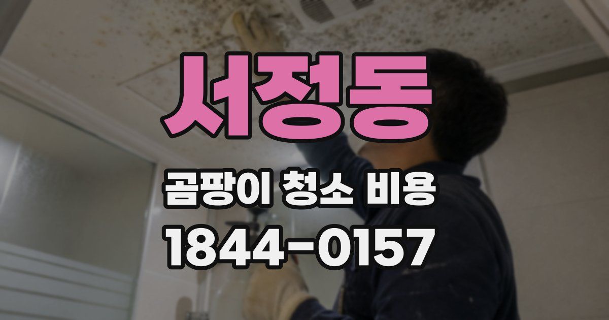서정동 곰팡이 청소 비용