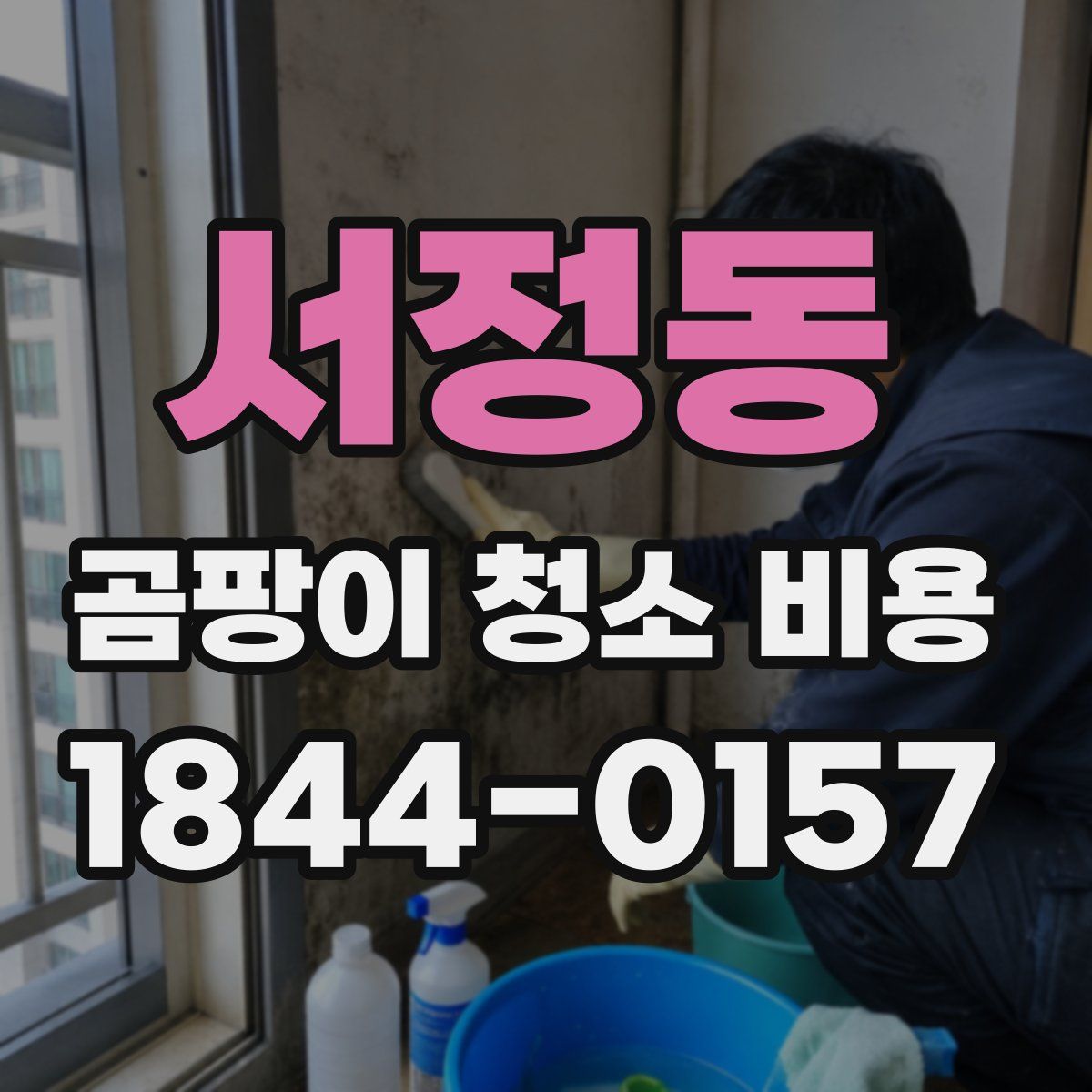 서정동 곰팡이 청소 비용