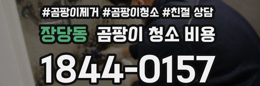 장당동 곰팡이 청소 비용