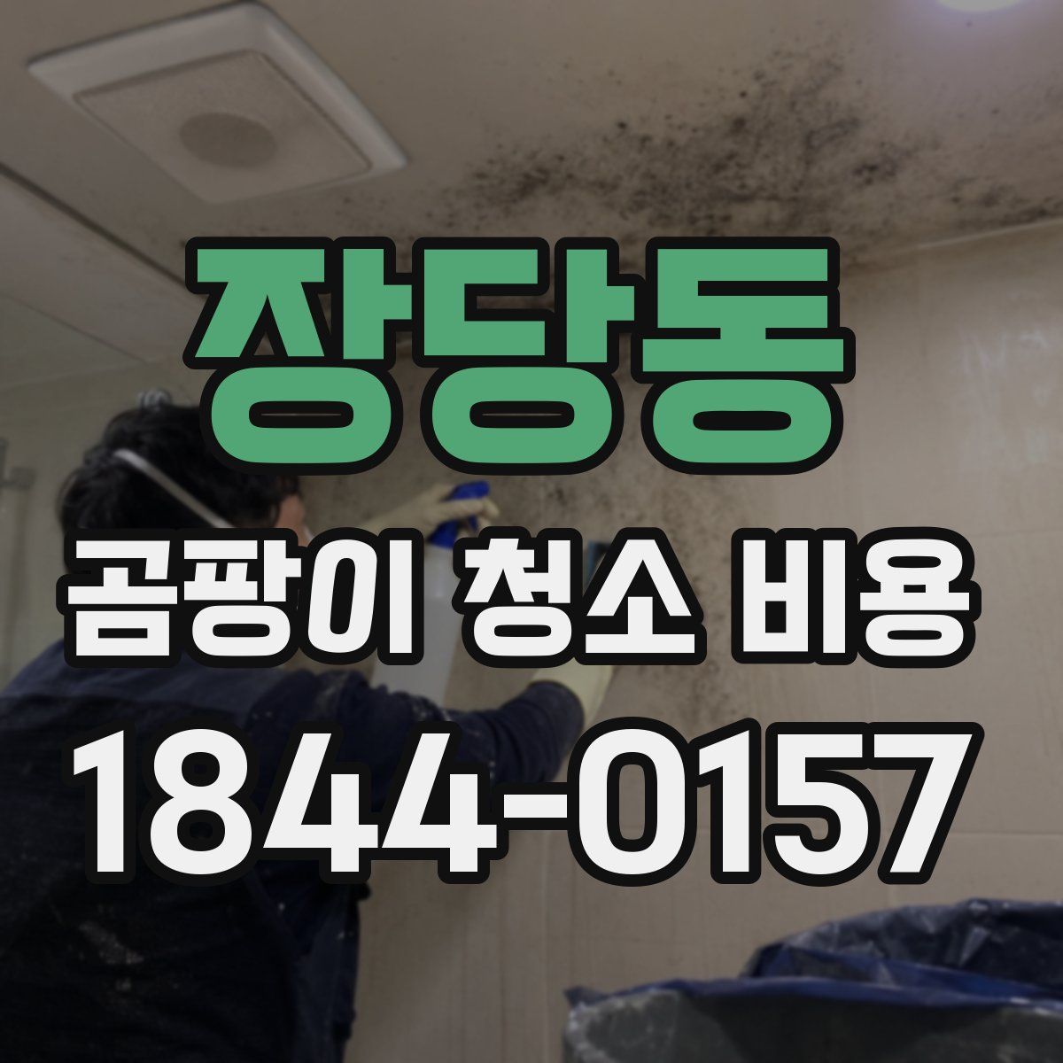 장당동 곰팡이 청소 비용